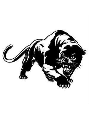 Vahşi Panter Araba Sticker