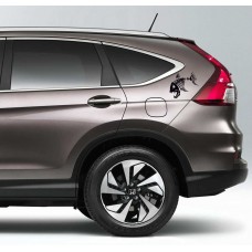 Pirana İskeleti Araba Sticker 