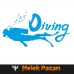 Dalış - Dalgıç, Diving Araba Sticker