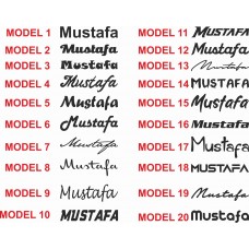 2 Adet İsim, Yazı Araba Sticker