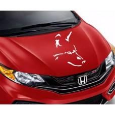 Kurt Kafası Araba Sticker 