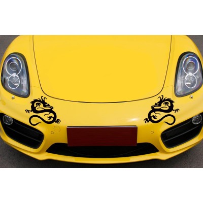 Ejderha Araba Sticker, Sağ ve Sol Set