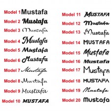 2 Adet İsim, Yazı Araba Sticker 