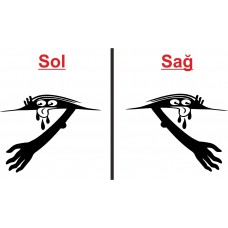 Gizli Canavar Araba Sticker 