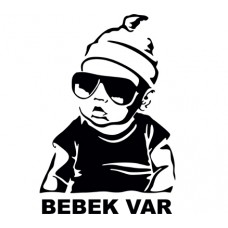 Arabada Bebek Var Sticker