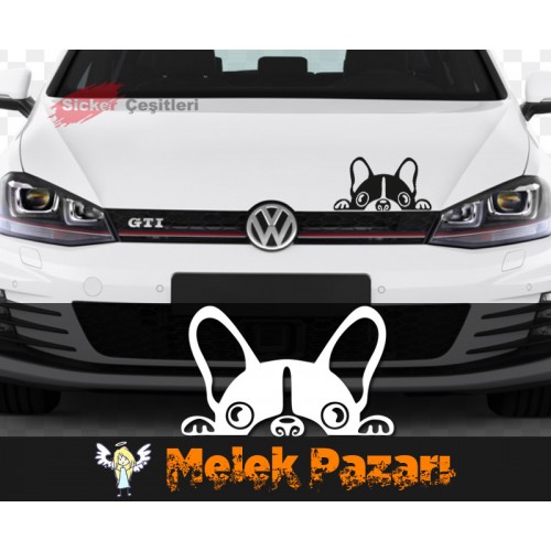 Arabadan Bakan Köpek Sticker