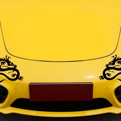 Ejderha Araba Sticker, Sağ ve Sol Set