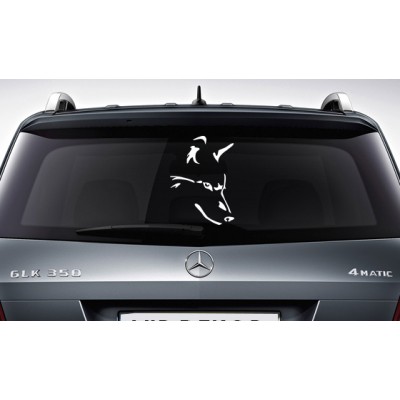 Kurt Kafası Araba Sticker