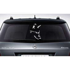 Kurt Kafası Araba Sticker 