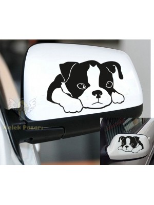 Masum Köpek Araba Ayna Sticker