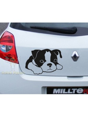 Masum Köpek Araba Sticker Masum Köpek Araba Sticker