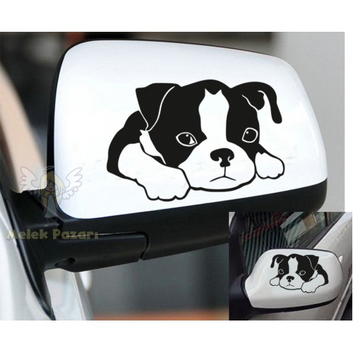 Masum Köpek Araba Ayna Sticker
