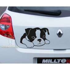 Masum Köpek Araba Sticker 