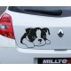 Masum Köpek Araba Sticker