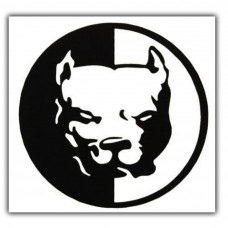 Pitbull Araba Sticker 