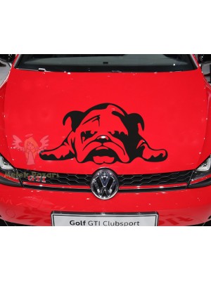 Tembel Köpek Araba Sticker