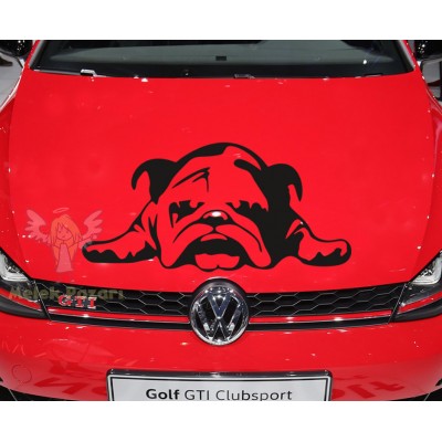 Tembel Köpek Araba Sticker