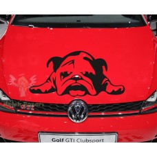 Tembel Köpek Araba Sticker 