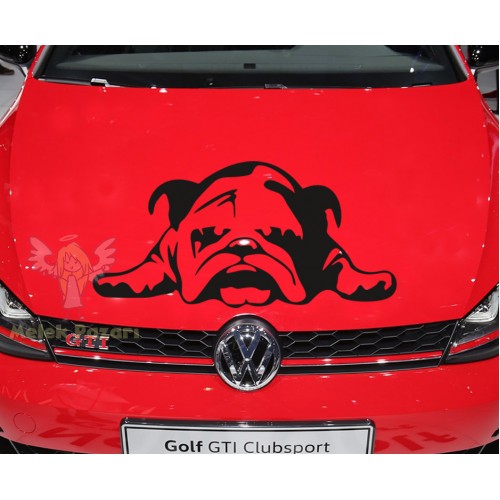 Tembel Köpek Araba Sticker