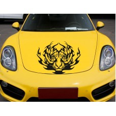 Tribal Aslan Kafası Ön Kaput Sticker