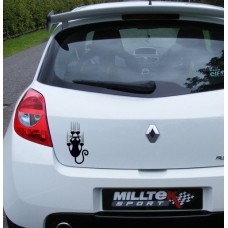 Tırmalayan Kedi Araba Sticker