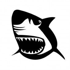 Köpek Balığı Jaws Klozet Banyo Sticker 