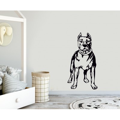 Pitbull Köpek Duvar Sticker