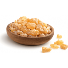 Akgünlük Sakızı Organik Günlük Ağacı Özü 120 GR 