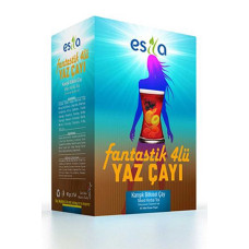 Fantastik 4 Lü Yaz Çayı 45 Li. 