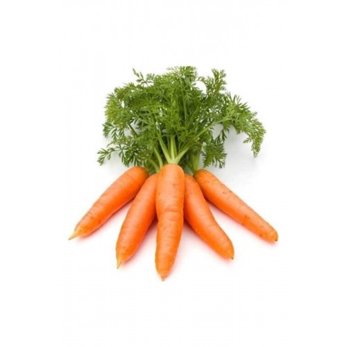 Sarı Havuç Tohumu 10 Gr