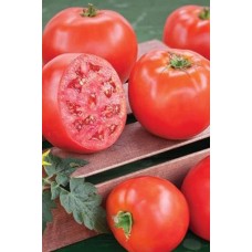 Domates Tohumu H.2274 5 Gr 