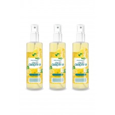 3 Adet Limon Kolonyası  Ev Ofis Pratik Kullanım Sprey 100ml 