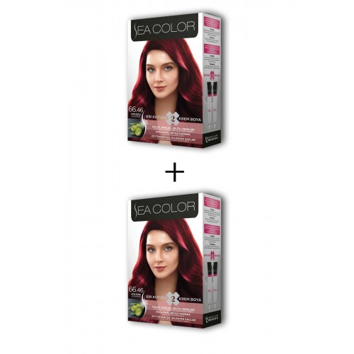 2X2 Tüp Krem Saç Boyası Seti Ateş Kızılı No:66.46