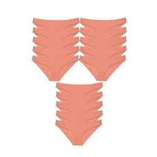 15 adet Süper Eko Set Likralı Kadın Slip Külot Pudra 