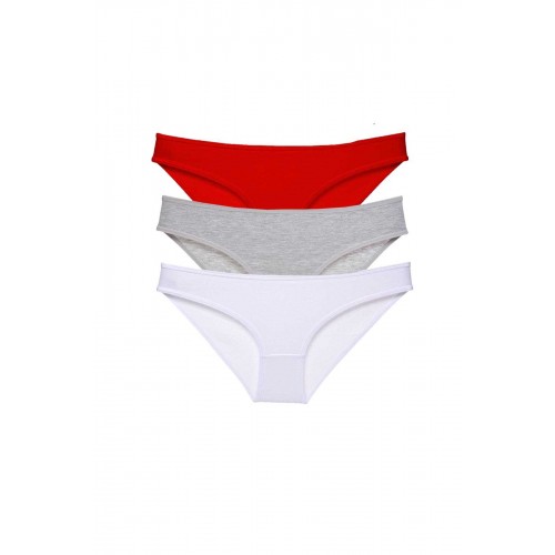 3 adet Süper Eko Set Likralı Kadın Slip Külot 542
