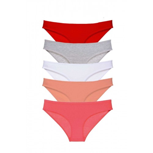 5 adet Süper Eko Set Likralı Kadın Slip Külot 519