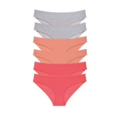 6 adet Süper Eko Set Likralı Kadın Slip Külot Gri Pudra Fuşya