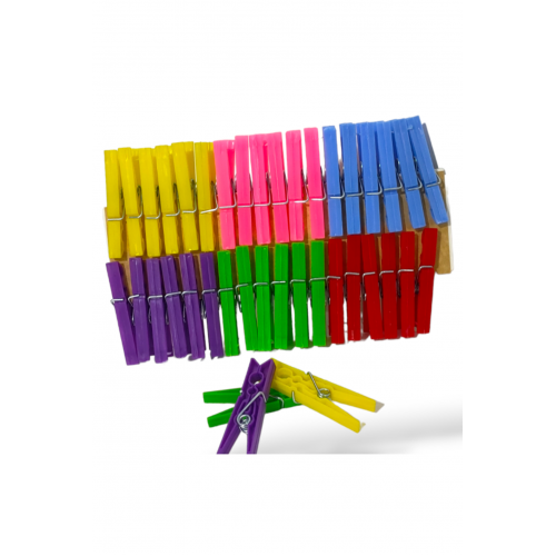 144'lü Çamaşır Mandalı Karanfil Royaleks-L016