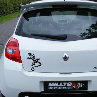 Tribal Kertenkele Araba Sticker